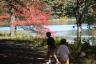 Autumn Color