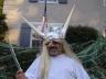 Ian - Viking king king