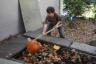 Robert smashing pumpkins
