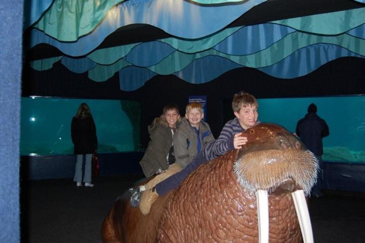 11-30 NY Aquarium 003
