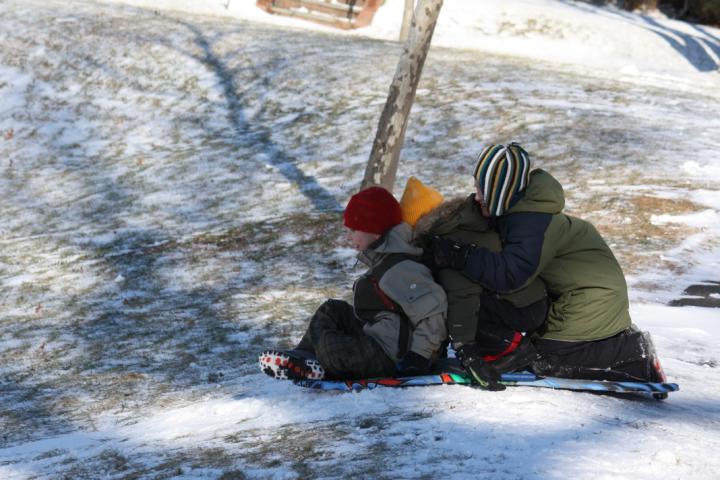 Triple sled