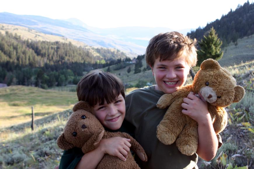 Teddy bears
