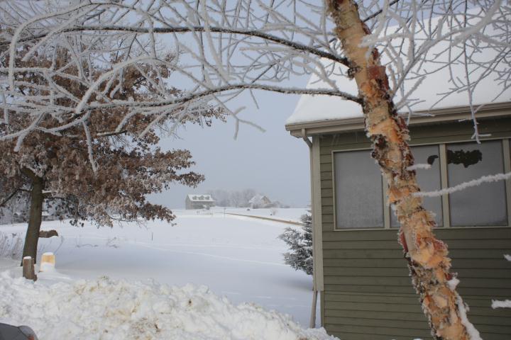 Galena Snowscape