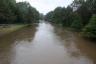 The Bronx "River" (Parkway)