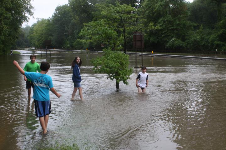 The Bronx river parkway