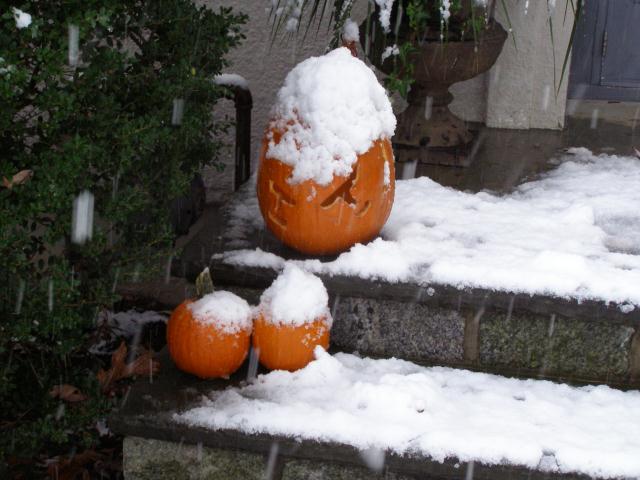 Freak Halloween snow storm