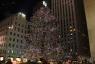 The Tree in Rockefeller Center