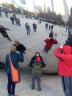 The bean