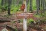 The Appalachian Trail