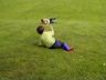 Rolling down the hill