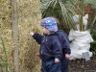 Wet hay