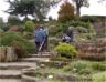 Stone steps in the garden