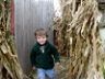 Robert exits the corn maze