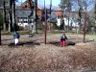 Swinging