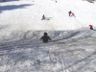 Tushy sledding at Scarsdale high school