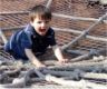 Jonathan the spider