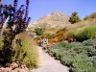 Red Butte Park in Salt Lake City