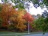 Highland Park, Rochester