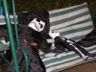 Halloween Decorations