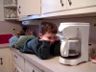 Robert watching the Coffee drip