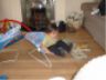 Cousin Kayla tries the bouncy seat