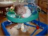 Morning nap can not wait, 9 AM