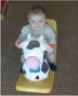 Robert rides the cow in the creche