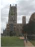 Ely