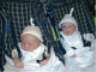 Boys in Hats