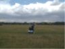 In the field
