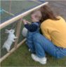 Jonathan sees a bunny