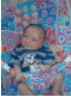 bouncy seat